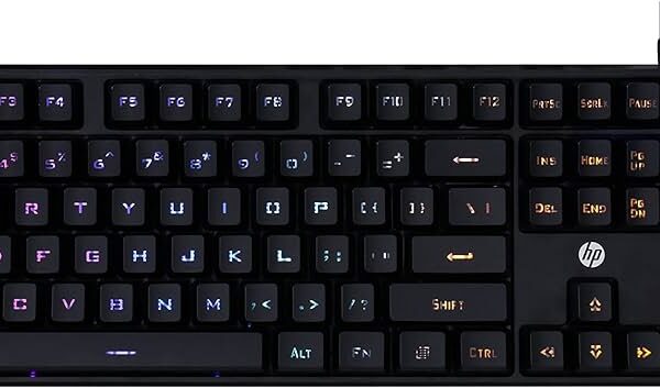 HP KEYBORD K300 Computer Accessory